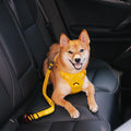 Reflective No-Pull Dog Harness with Control Handle