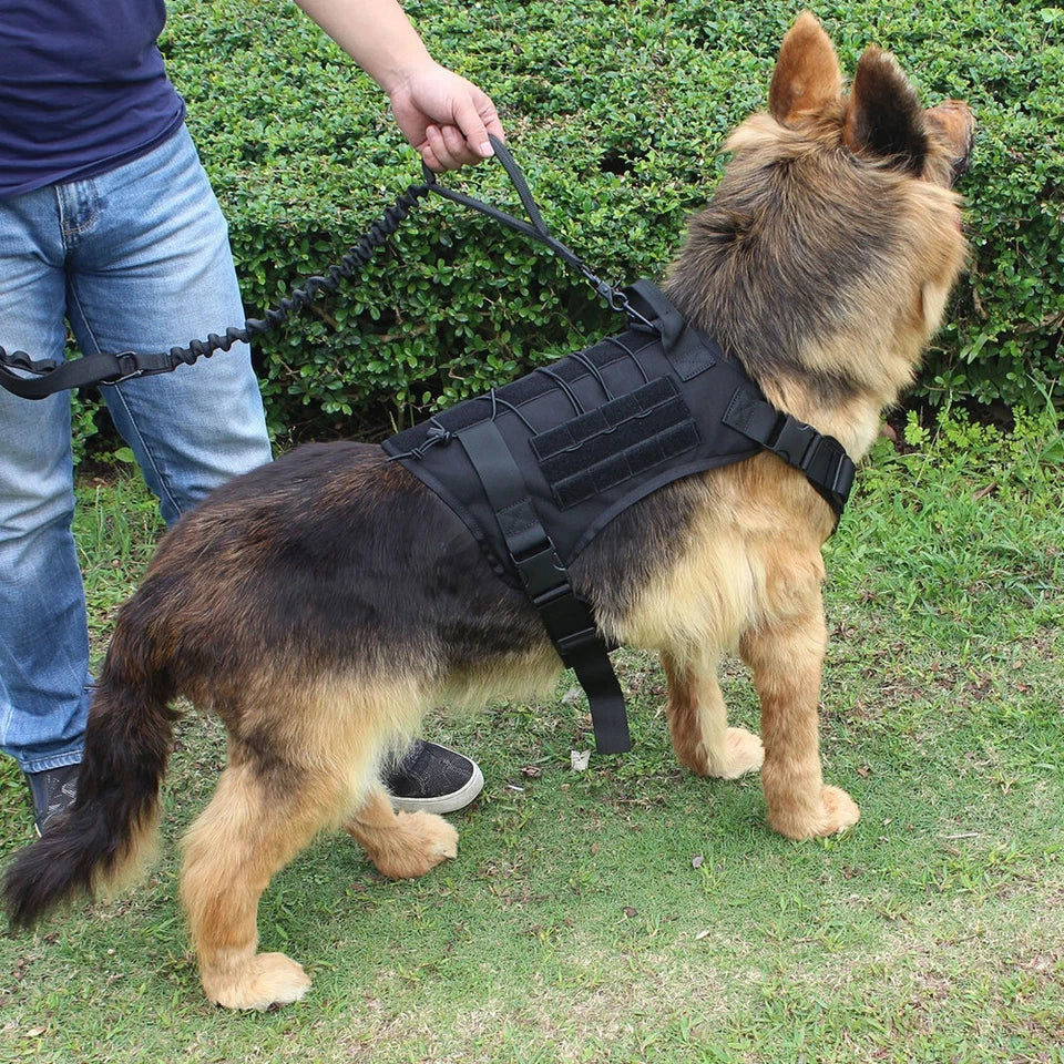 Tactical Dog Harness & Leash Set