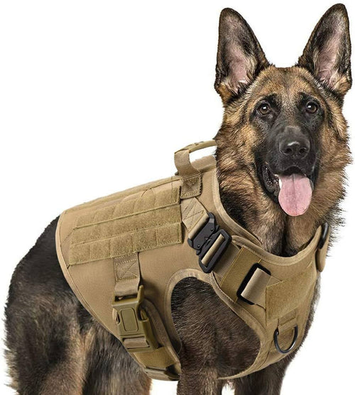 Tactical Dog Harness & Leash Set